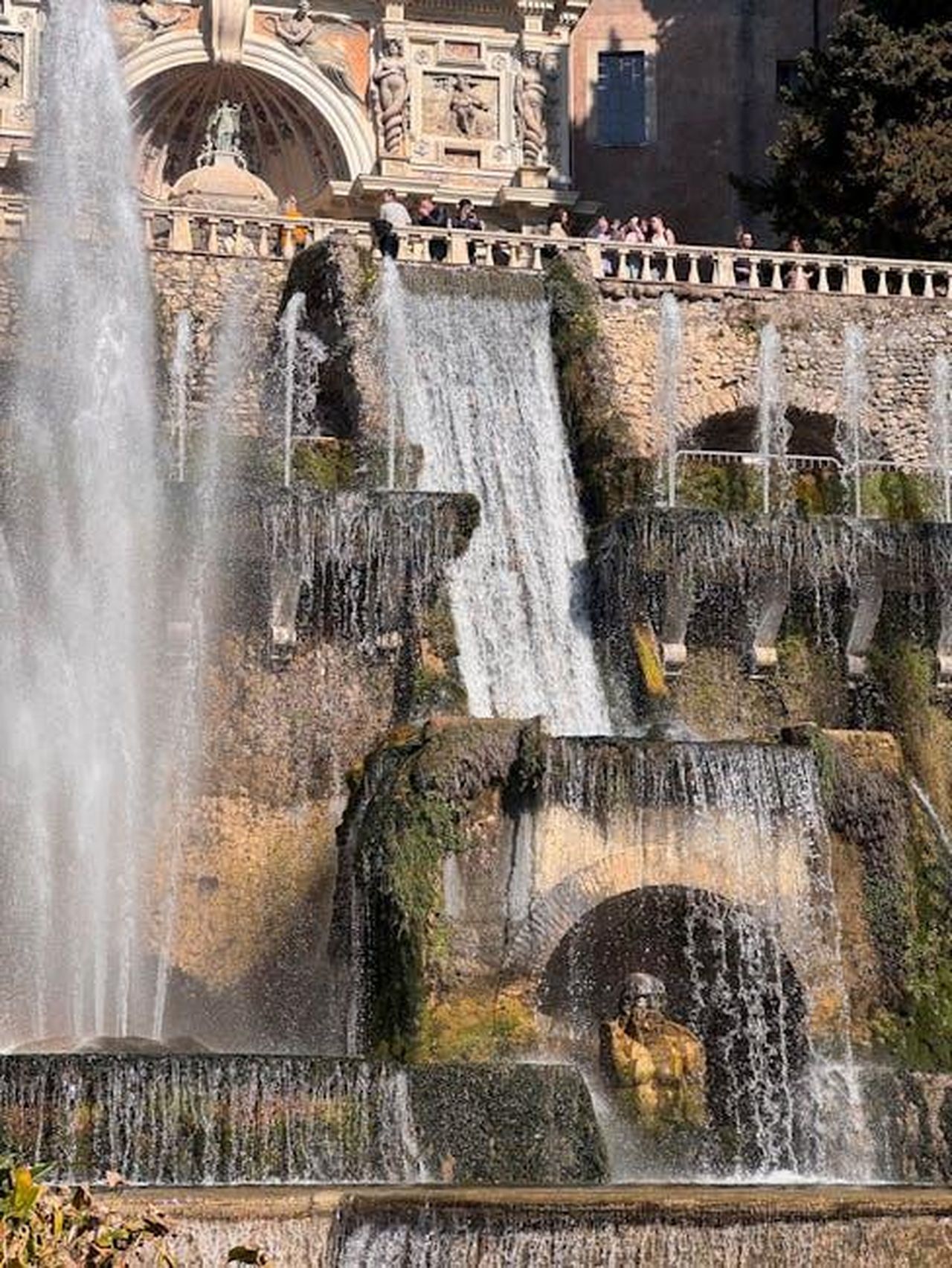 La_passione_di_William_per_lAston_Villa_CXeZIhBxLW - Confidenze24 Source: Kally Dru - pexels - Free stock photo of apennine, deste, europe
