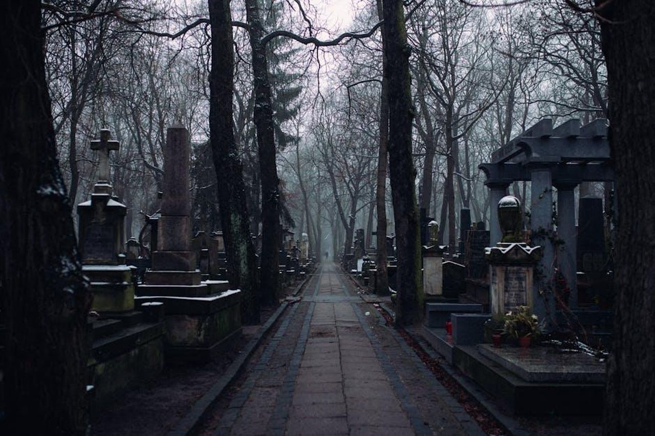 Perch_Vicki__tornata_a_EastEnders_qCmvdmzKvp - Confidenze24 Source: KoolShooters - pexels - A misty winter morning in an old cemetery with tombstones and leafless trees lining the path.